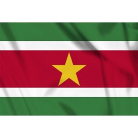 Flag Surinam 150 x 100 cm