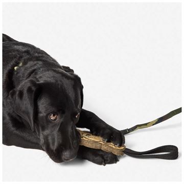 5.11 Tactical Mission Ready Gnome Trække Legetøj til Hund set sammen med hund