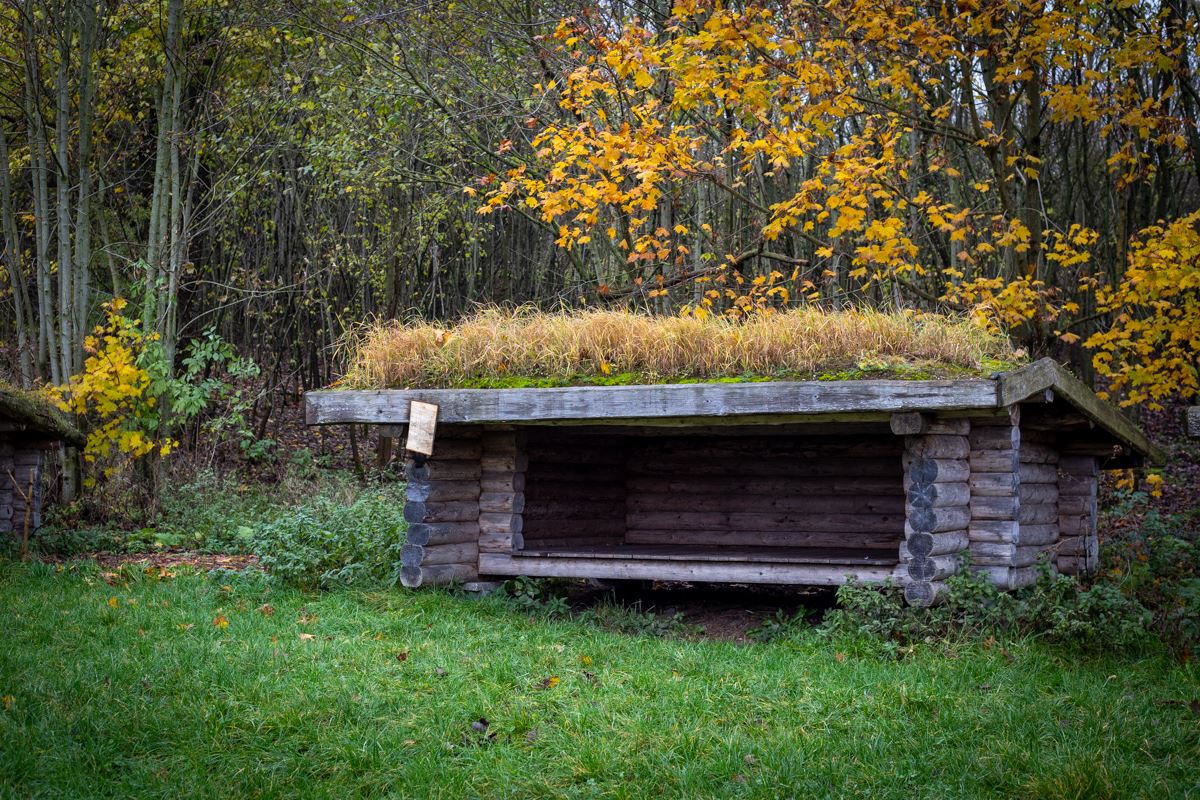 Sheltertur om vinteren