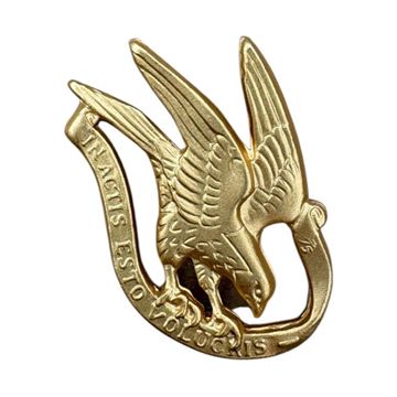 Afdelingsmærke Gardehusarregimentet, Højre, Ubrugt